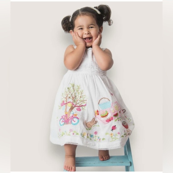 Cotton On Other - Cotton Kids Little Girls Dress Picnic Pink and Blue Embroidery Flowers. Size 4